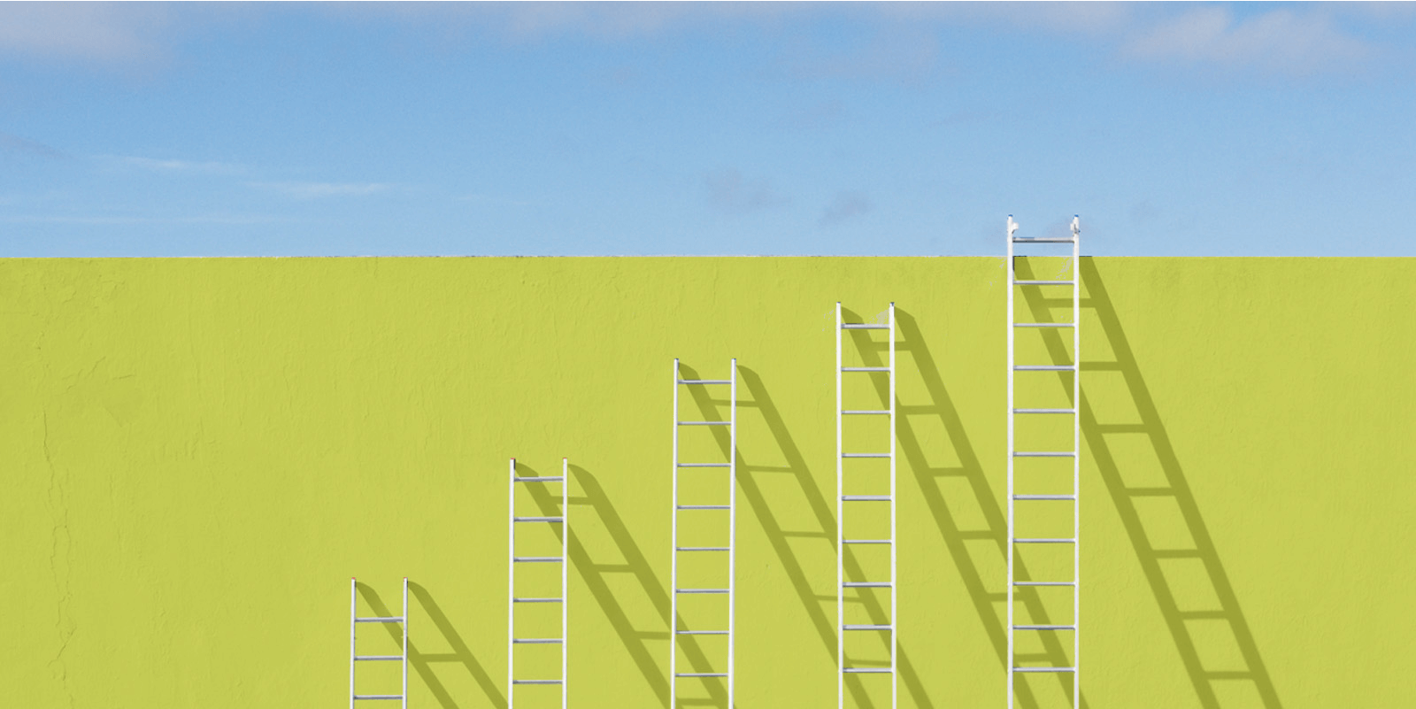 Understanding top and bottom line growth in today's economy